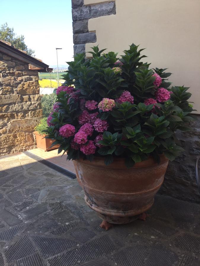 Agriturismo Borgo Tra Gli Olivi Castiglion Fiorentino Bagian luar foto
