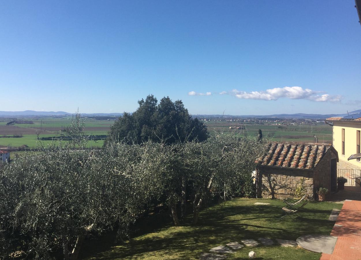 Agriturismo Borgo Tra Gli Olivi Castiglion Fiorentino Bagian luar foto