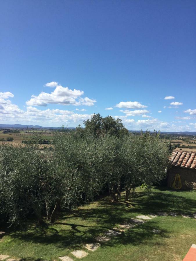 Agriturismo Borgo Tra Gli Olivi Castiglion Fiorentino Bagian luar foto